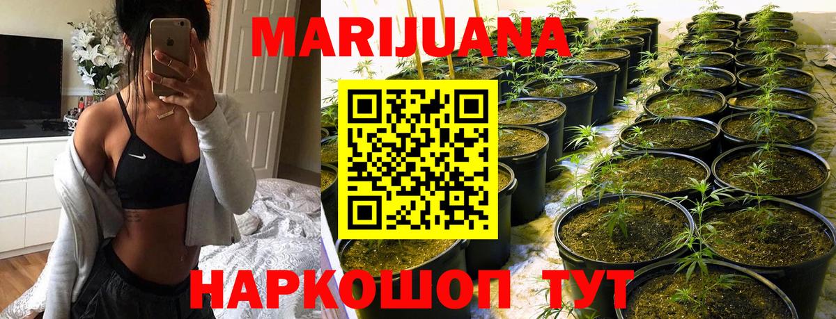 Бошки Шишки Нарткала
